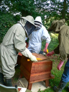 Opening a Hive In Buxted East Sussex in the High Weald